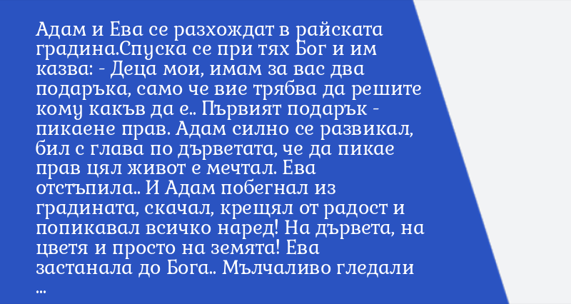 Происхождение рода человеческого в голубой мечети от адама и евы фото